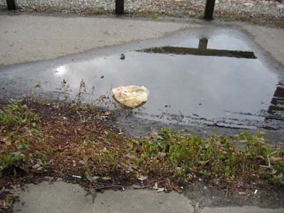 bag in puddle
