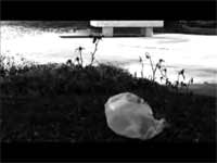 plastic bag video